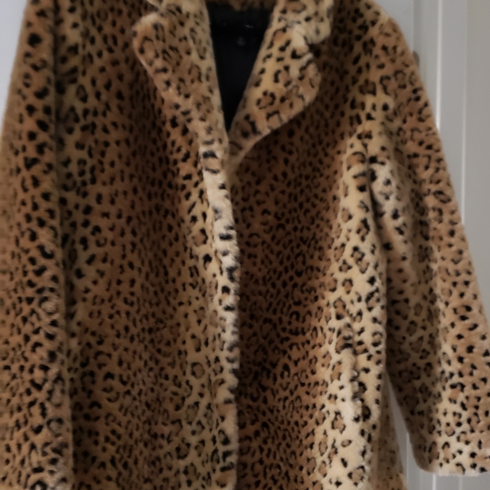 Coat - Picture 2 of 7